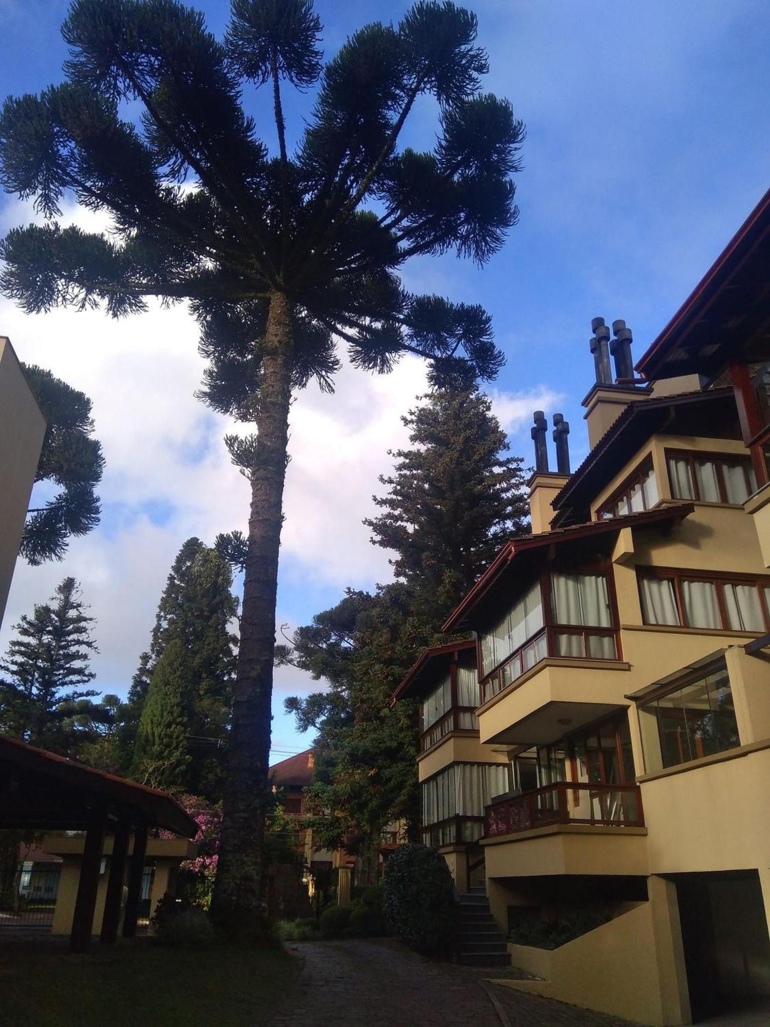 Estação das Hortênsias, sua casa em Gramado Apartamento Exterior foto