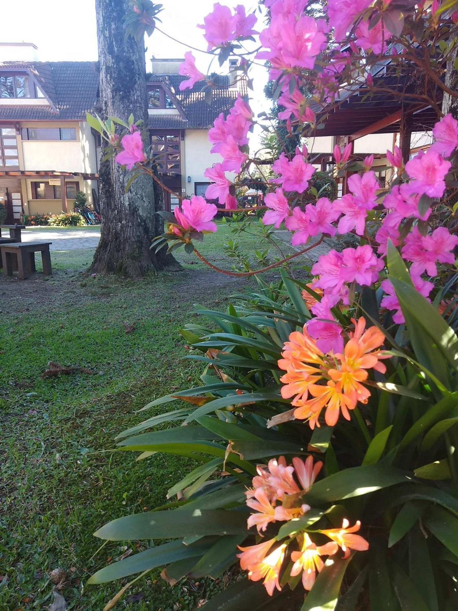 Estação das Hortênsias, sua casa em Gramado Apartamento Exterior foto